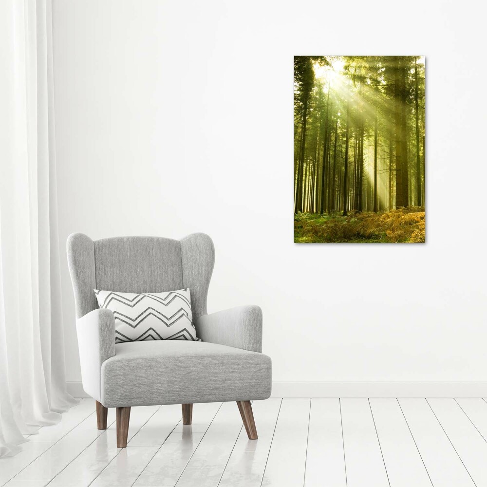 Vertikální Foto obraz fotografie na skle Slunce v lese