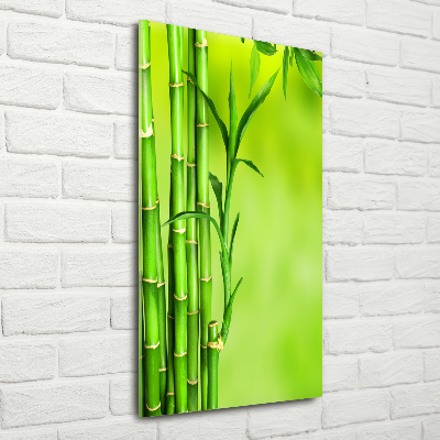 Vertikální Moderní skleněný obraz z fotografie Bambus