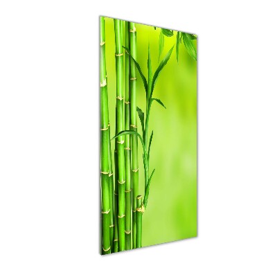 Vertikální Moderní skleněný obraz z fotografie Bambus