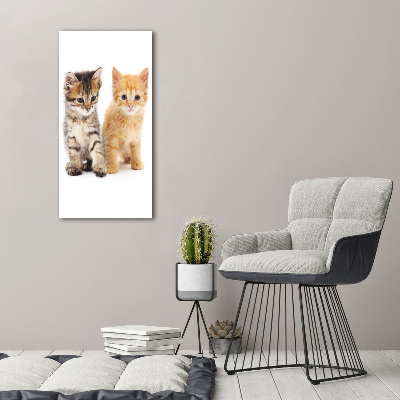 Vertikální Foto-obraz skleněný svislý Šedá a červená kočka