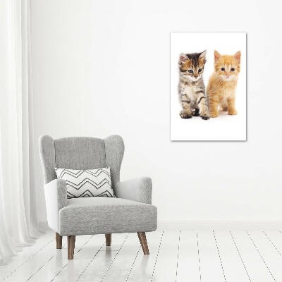 Vertikální Foto-obraz skleněný svislý Šedá a červená kočka