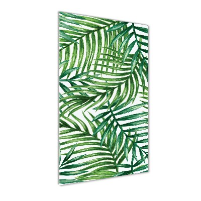 Vertikální Foto obraz sklo tvrzené Listí palmy