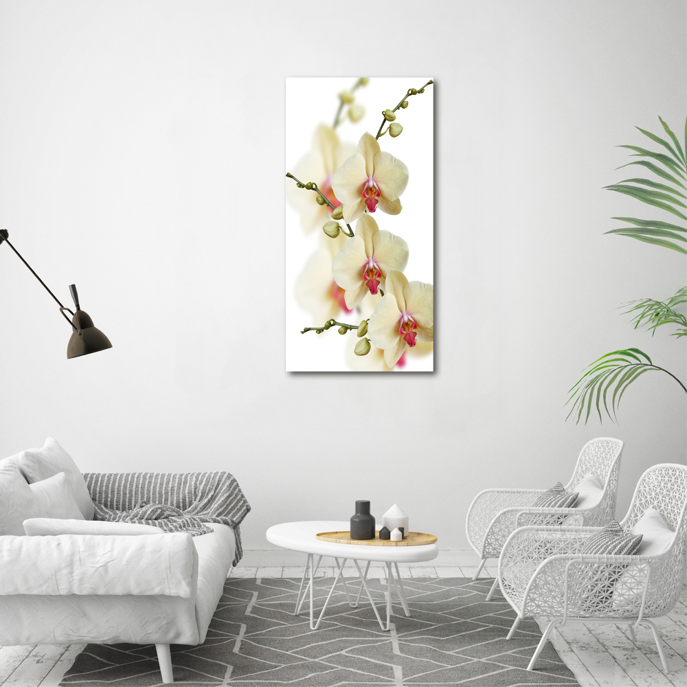 Vertikální Foto-obrah sklo tvrzené Orchidej