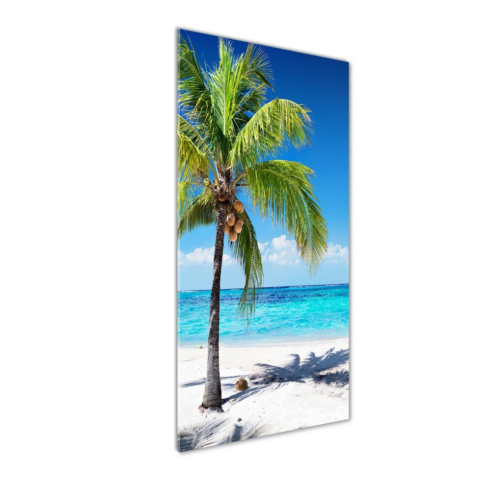 Vertikální Foto obraz skleněný svislý Tropická pláž