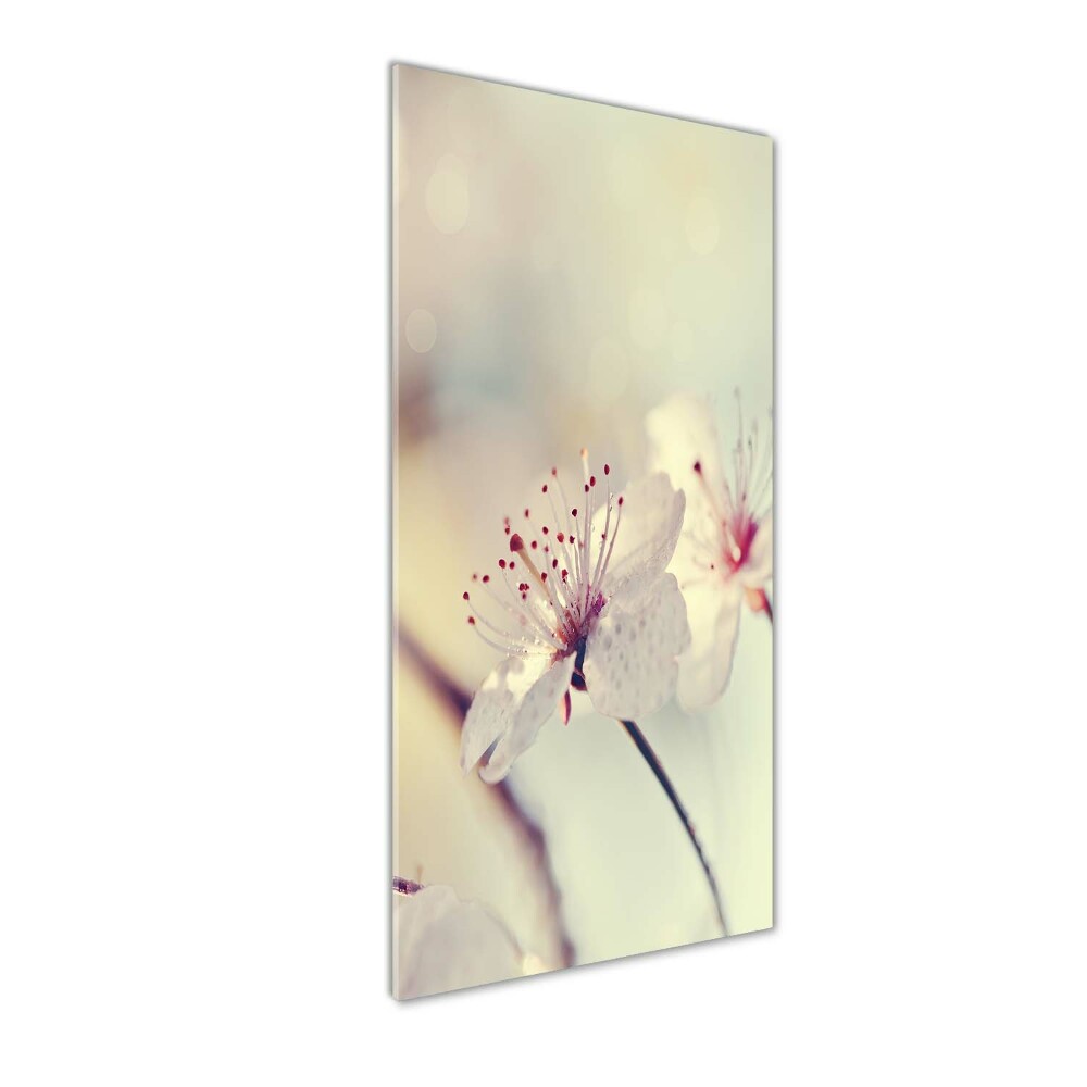 Vertikální Foto obraz sklo tvrzené Květy višně