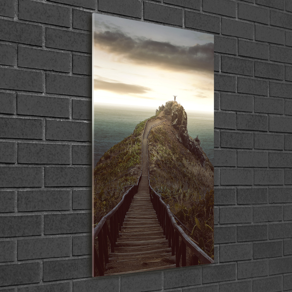 Vertikální Foto obraz skleněný svislý Stezka na skále