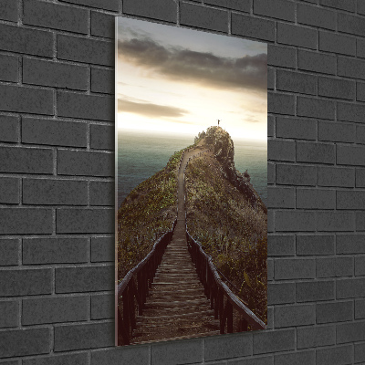 Vertikální Foto obraz skleněný svislý Stezka na skále