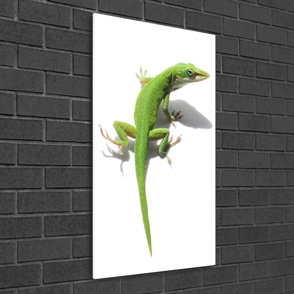 Vertikální Foto-obraz na skle Zelená ještěrka