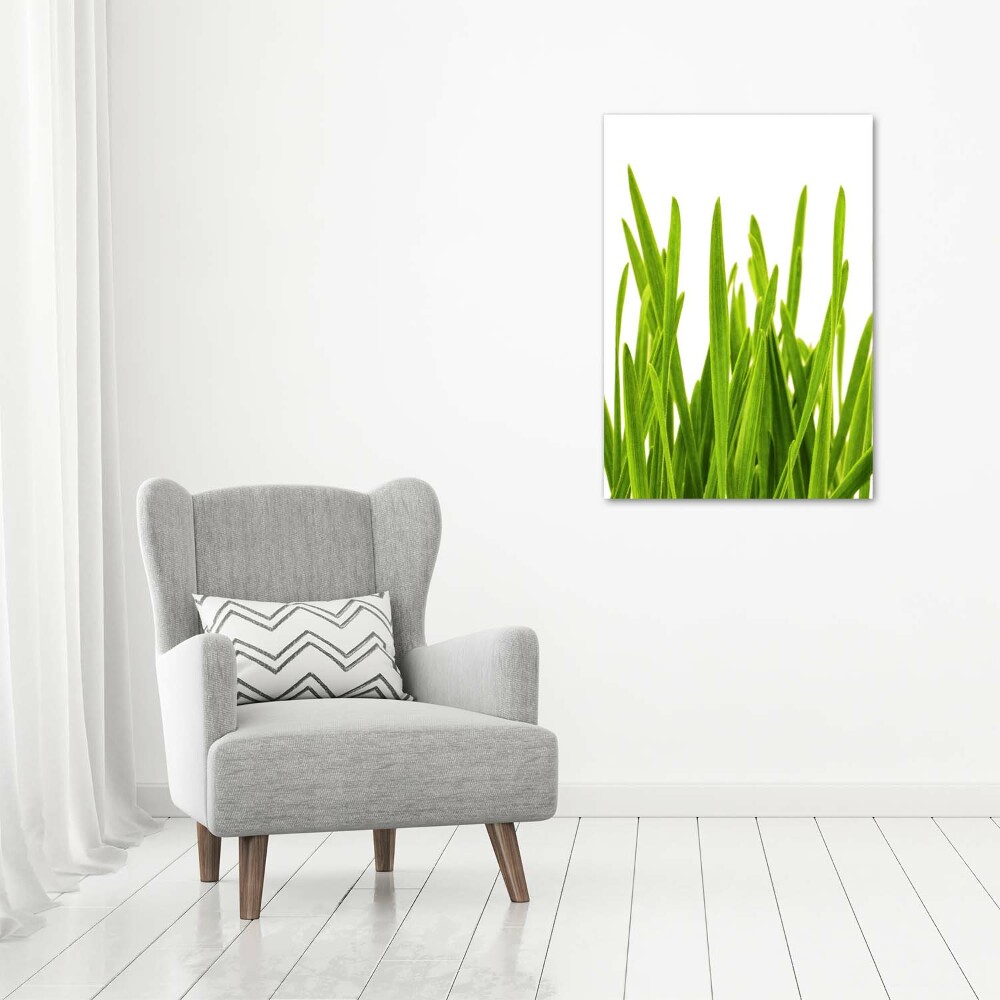 Vertikální Foto obraz sklo tvrzené Zelená tráva