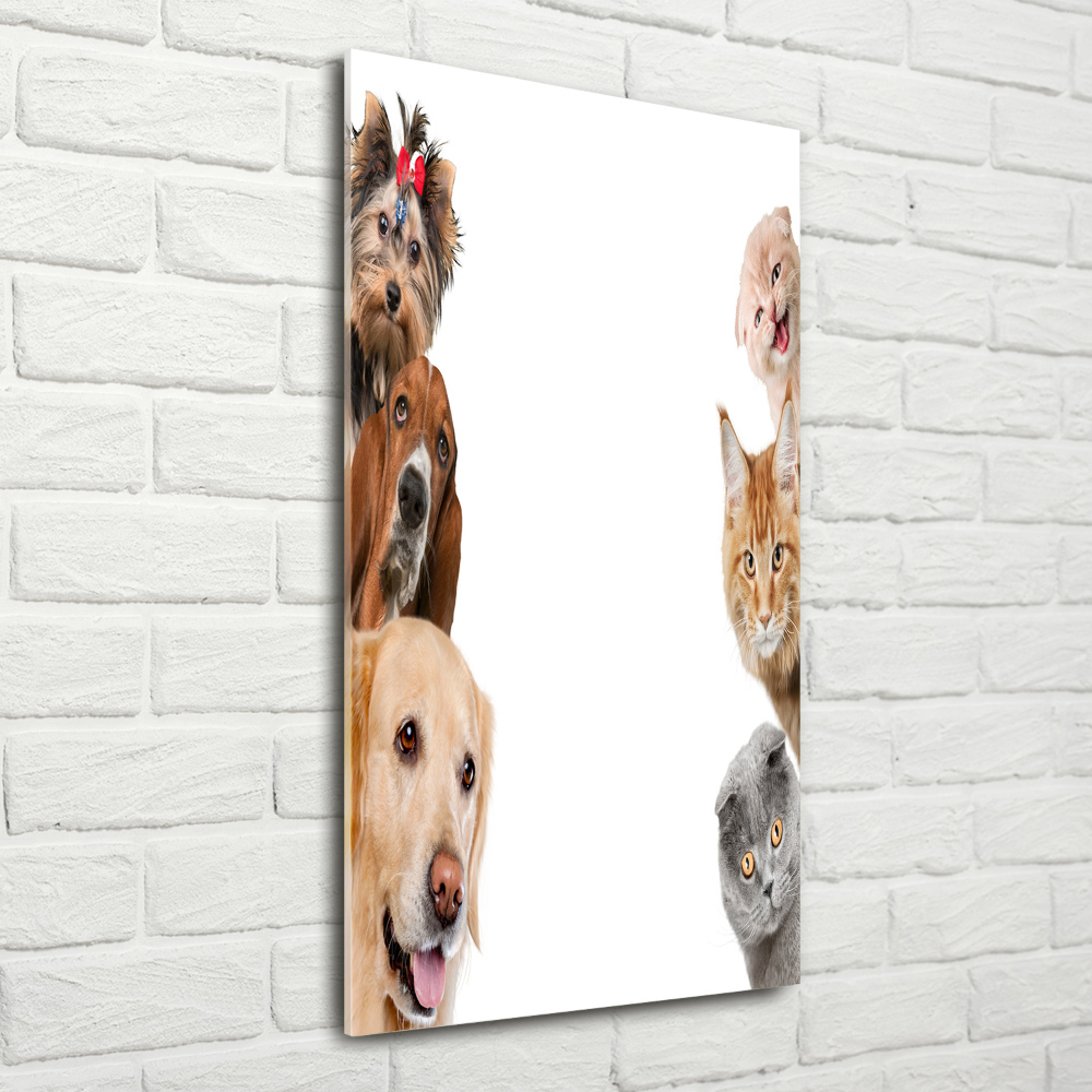 Vertikální Foto-obrah sklo tvrzené Psy a kočky