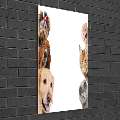 Vertikální Foto-obrah sklo tvrzené Psy a kočky