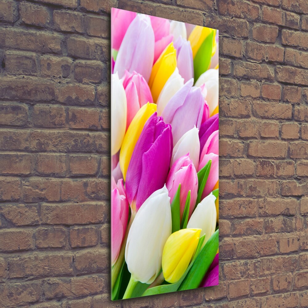 Vertikální Fotoobraz na skle Barevné tulipány
