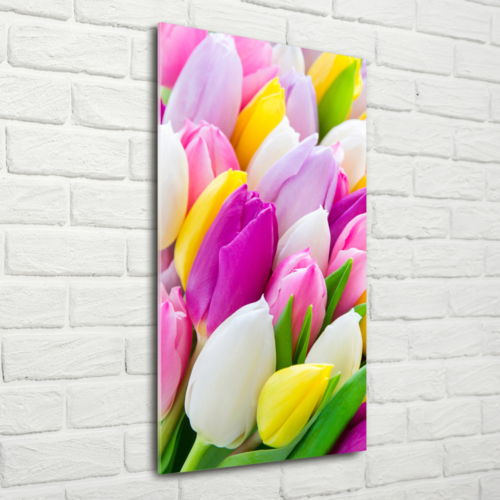 Vertikální Fotoobraz na skle Barevné tulipány