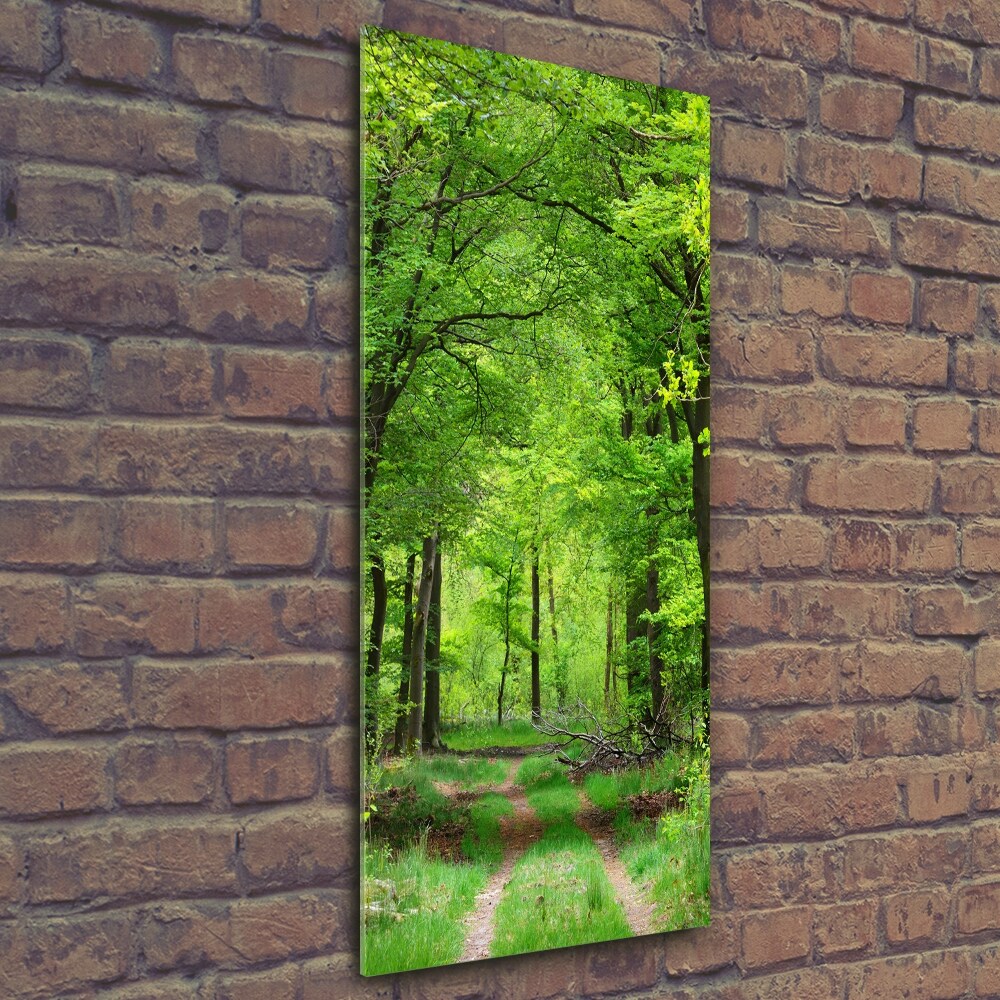 Vertikální Foto obraz sklo tvrzené Zelený les