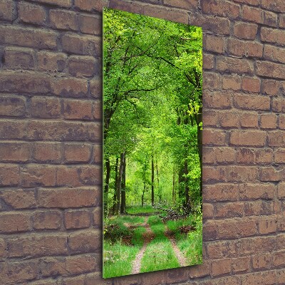 Vertikální Foto obraz sklo tvrzené Zelený les