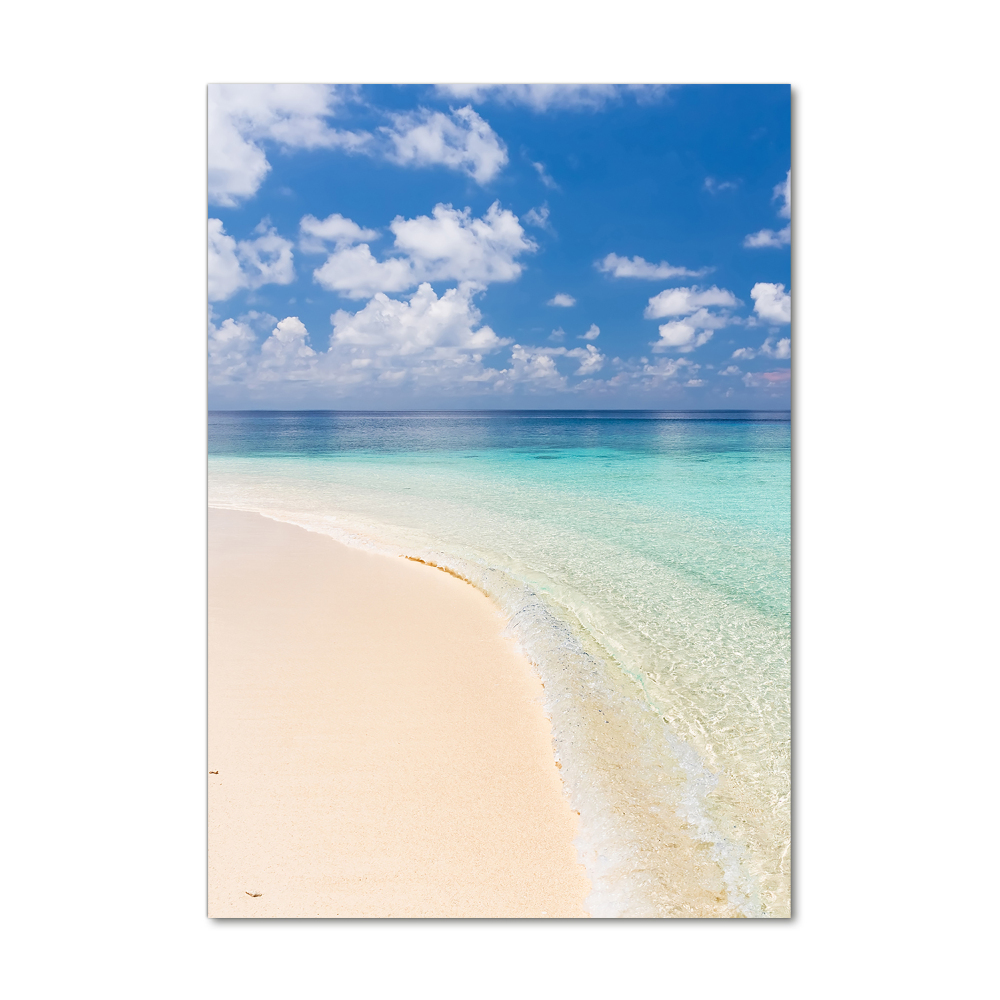 Vertikální Foto obraz fotografie na skle Pláž Maledivy