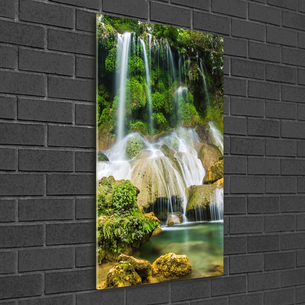 Vertikální Fotoobraz na skle Vodopád v džungli