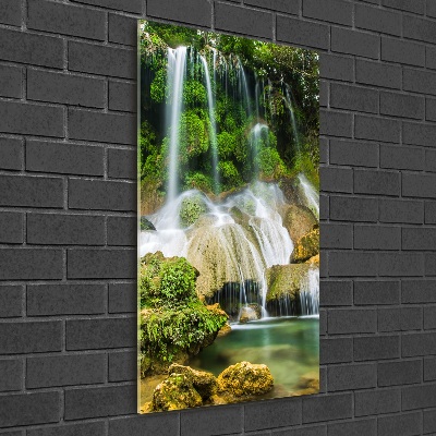 Vertikální Fotoobraz na skle Vodopád v džungli