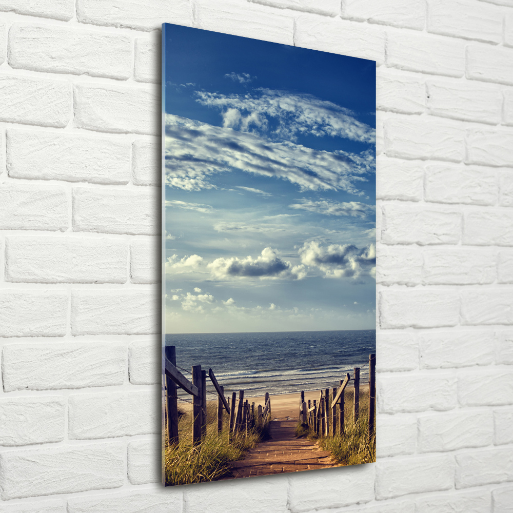 Vertikální Foto obraz skleněný svislý Stezka na pláž