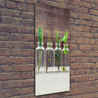 Vertikální Foto obraz skleněný svislý Bylinky ve sklenicích