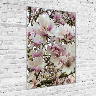 Vertikální Fotoobraz na skle Květy magnolie