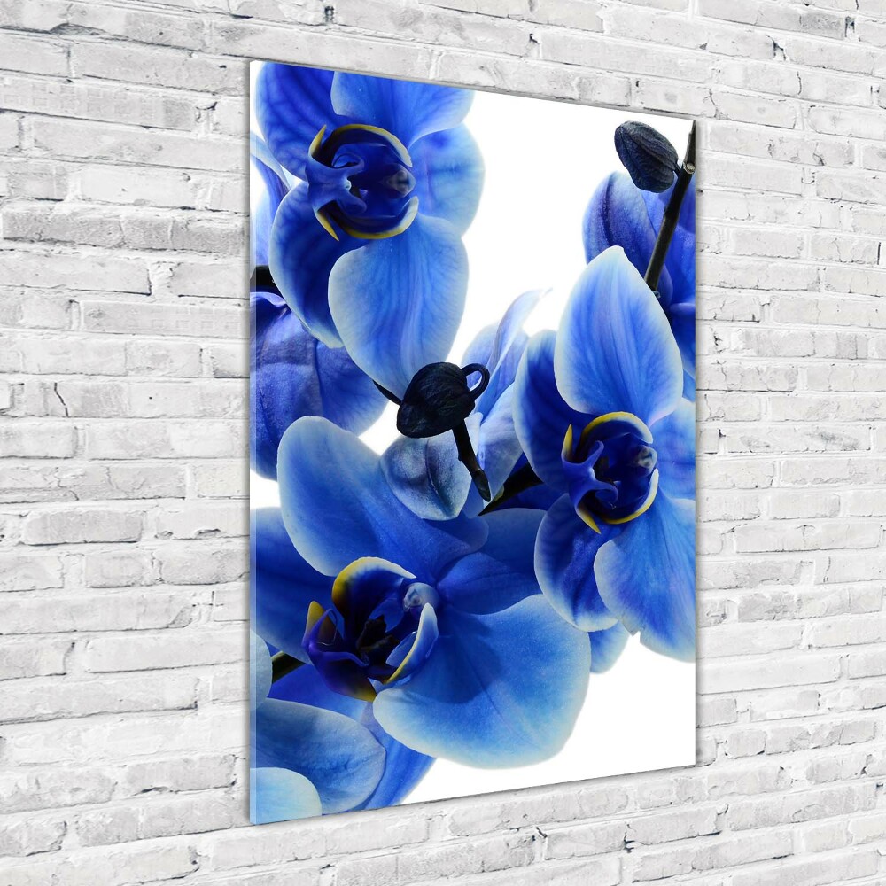 Vertikální Fotoobraz na skle Modrá orchidej