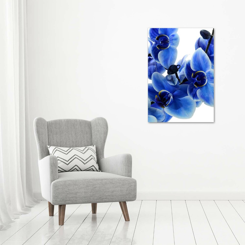 Vertikální Fotoobraz na skle Modrá orchidej