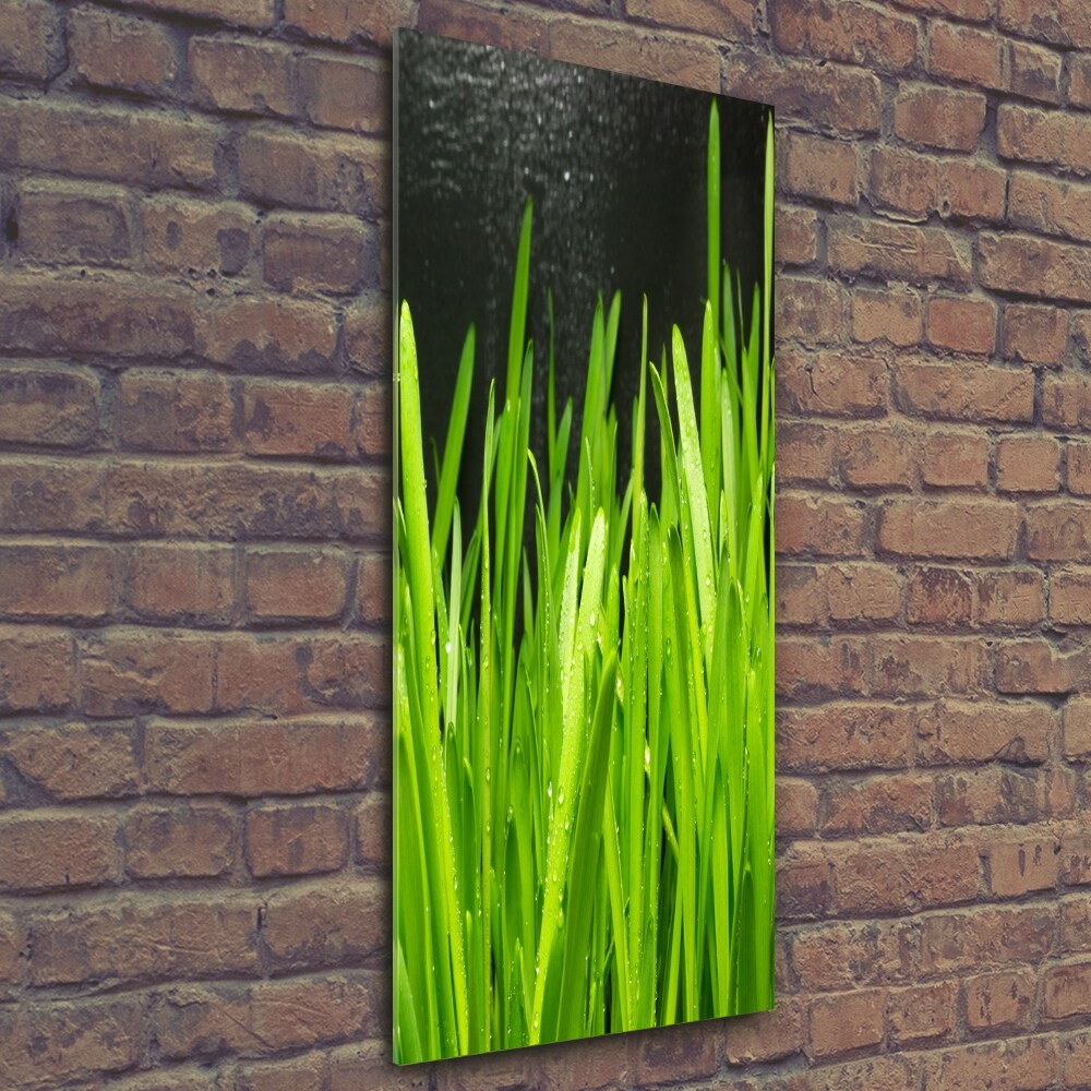 Vertikální Foto obraz sklo tvrzené Stéblo trávy