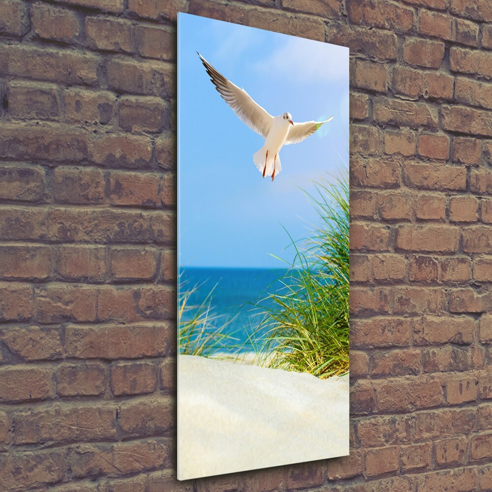 Vertikální Foto obraz skleněný svislý Méva nad dunami
