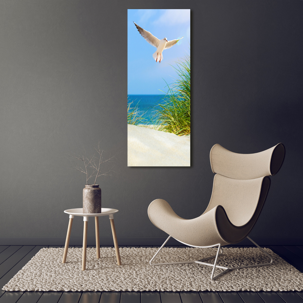 Vertikální Foto obraz skleněný svislý Méva nad dunami