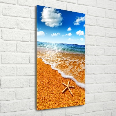 Vertikální Fotoobraz na skle Hvězdice na pláži