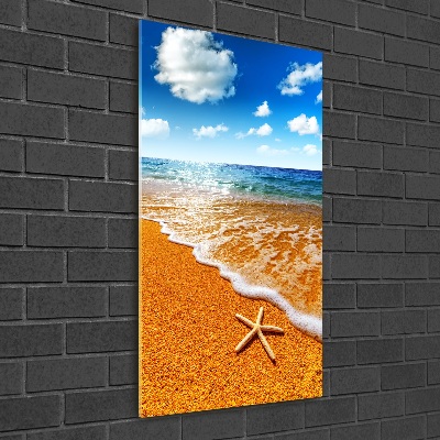 Vertikální Fotoobraz na skle Hvězdice na pláži