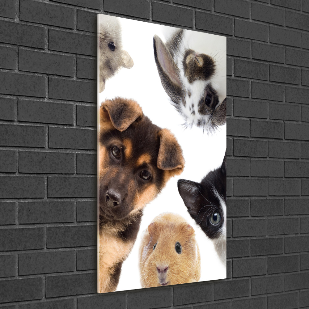 Vertikální Foto obraz skleněný svislý Domácí zvířata