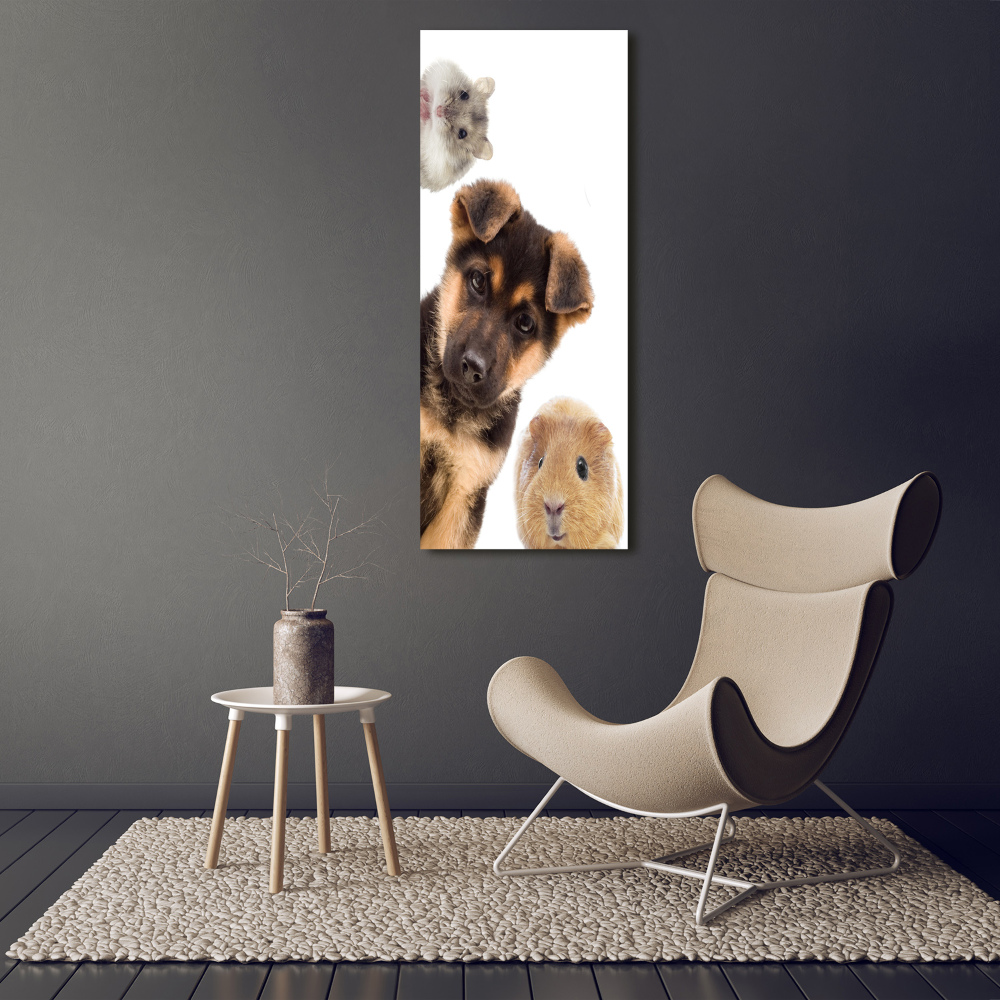Vertikální Foto obraz skleněný svislý Domácí zvířata