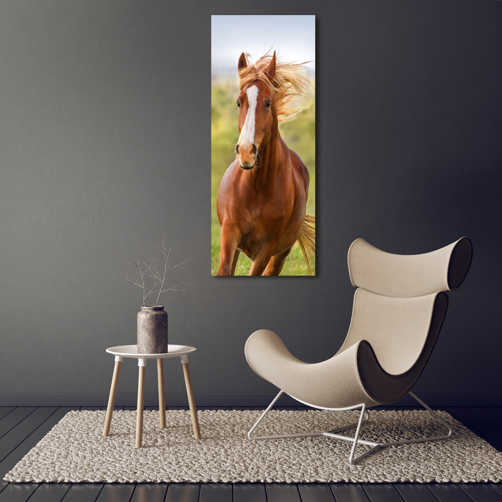 Vertikální Foto obraz sklo tvrzené Kůň v poklusu