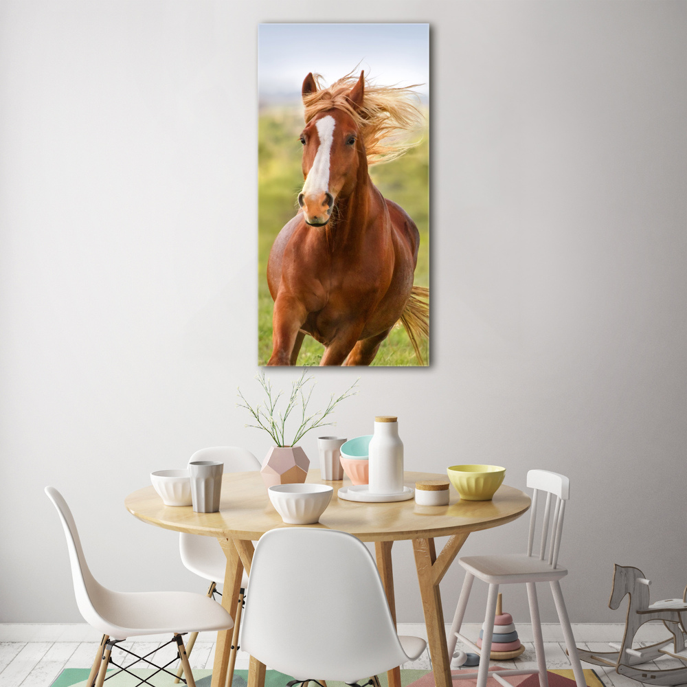 Vertikální Foto obraz sklo tvrzené Kůň v poklusu