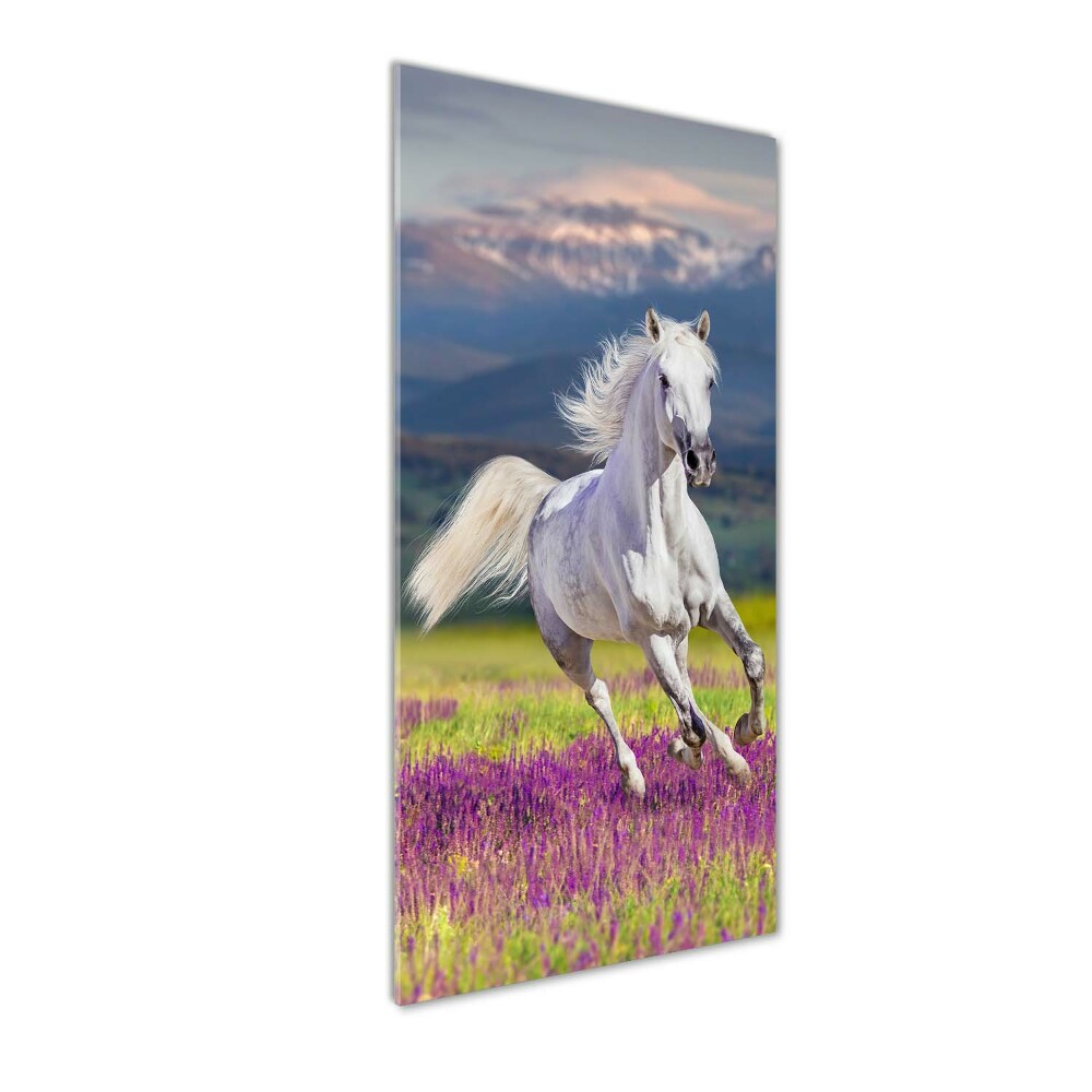 Vertikální Fotoobraz na skle Bílý kůň cval