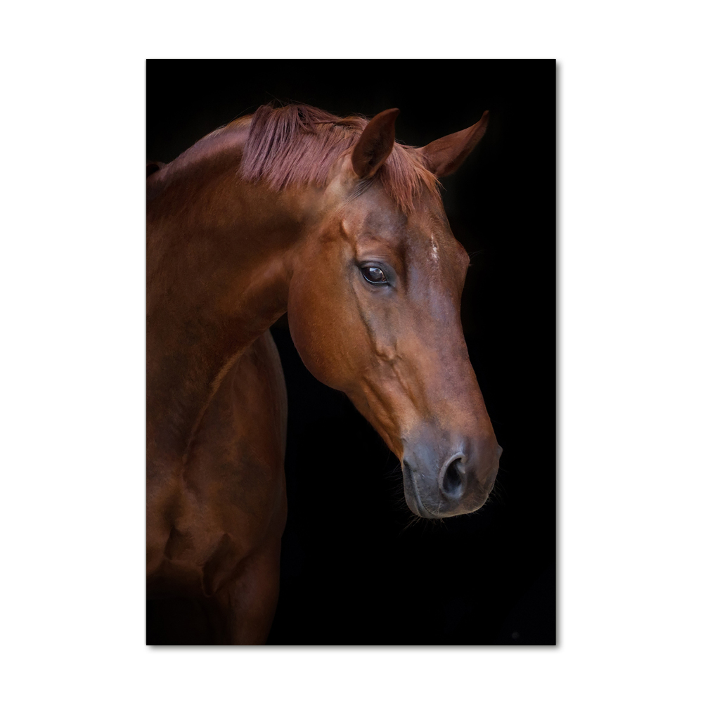 Vertikální Foto obraz sklo tvrzené Portrét koně