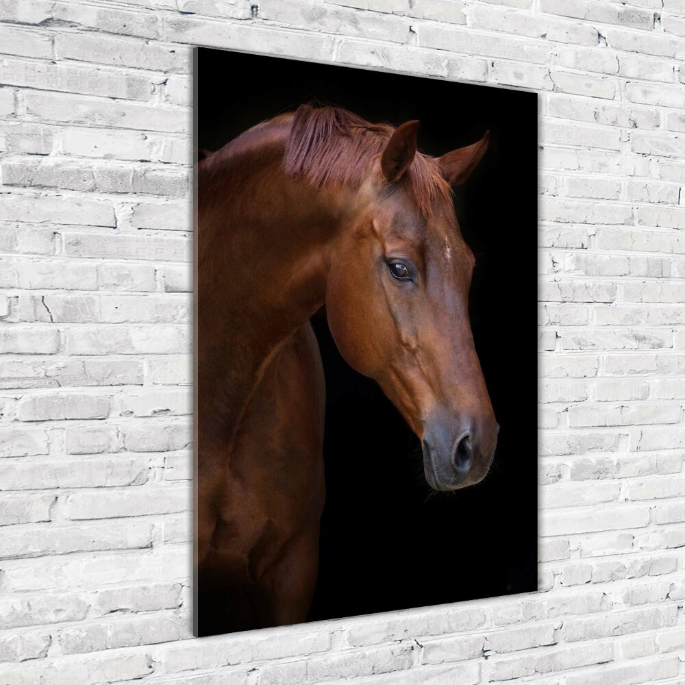 Vertikální Foto obraz sklo tvrzené Portrét koně