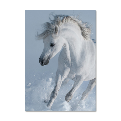 Vertikální Fotoobraz na skle Bílý kůň cval