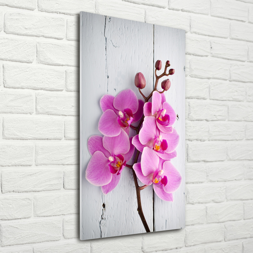 Vertikální Fotoobraz na skle Růžová orchidej