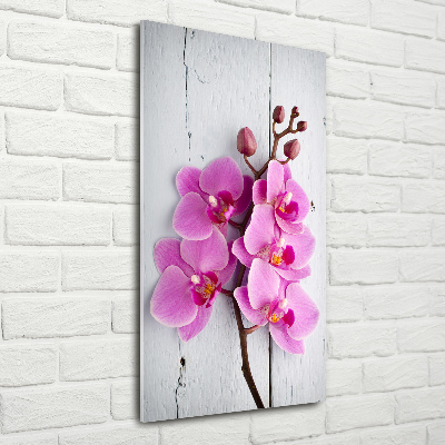 Vertikální Fotoobraz na skle Růžová orchidej