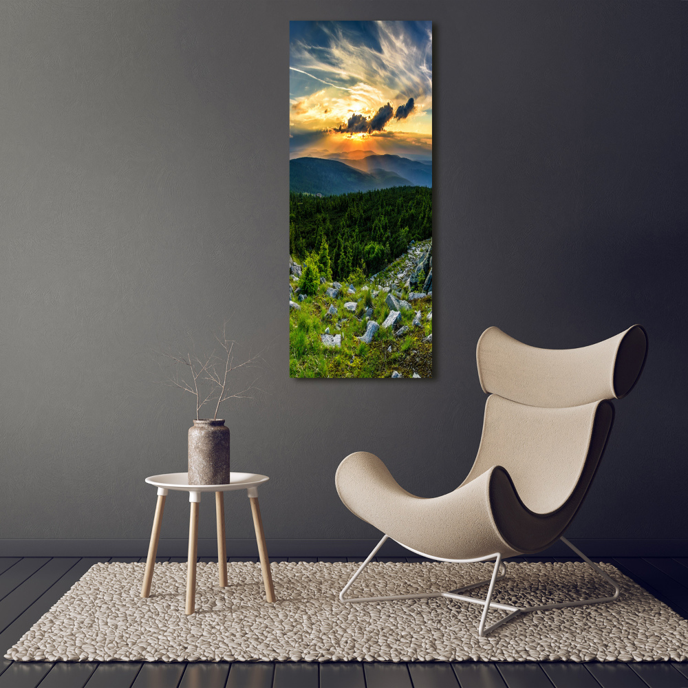 Vertikální Foto obraz sklo tvrzené Panorama hor