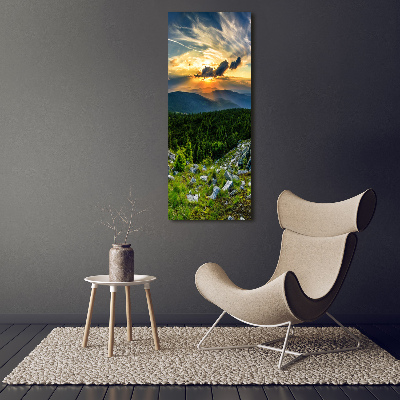 Vertikální Foto obraz sklo tvrzené Panorama hor