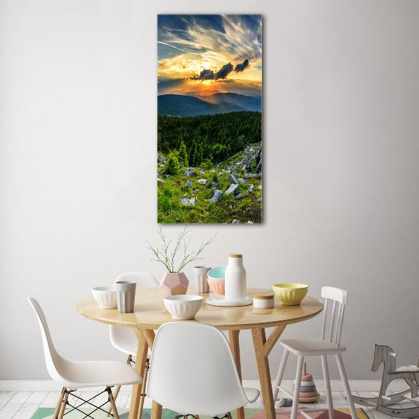 Vertikální Foto obraz sklo tvrzené Panorama hor