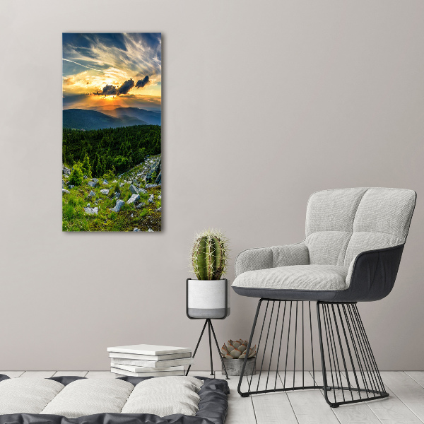 Vertikální Foto obraz sklo tvrzené Panorama hor