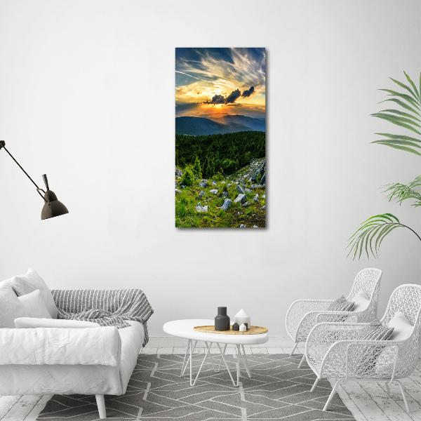 Vertikální Foto obraz sklo tvrzené Panorama hor