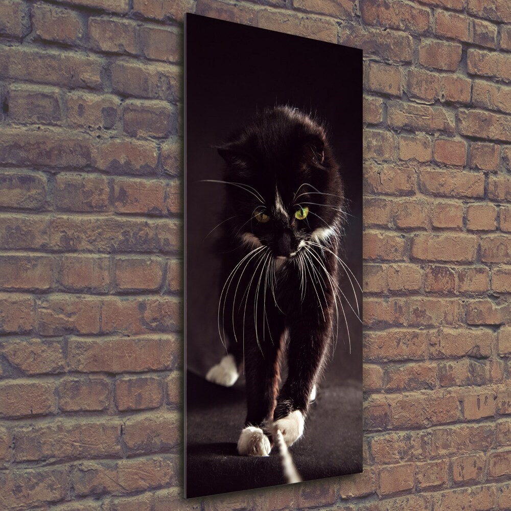 Vertikální Foto obraz sklo tvrzené Černá kočka