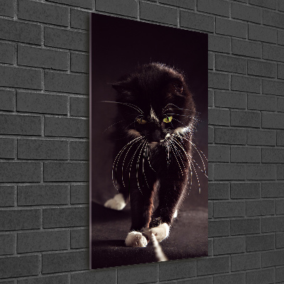 Vertikální Foto obraz sklo tvrzené Černá kočka