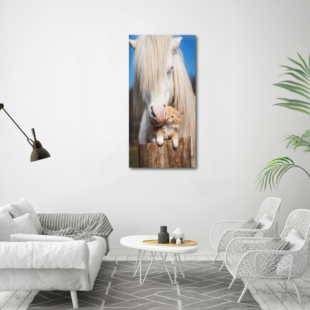 Vertikální Fotoobraz na skle Bílý kůň s kočkou